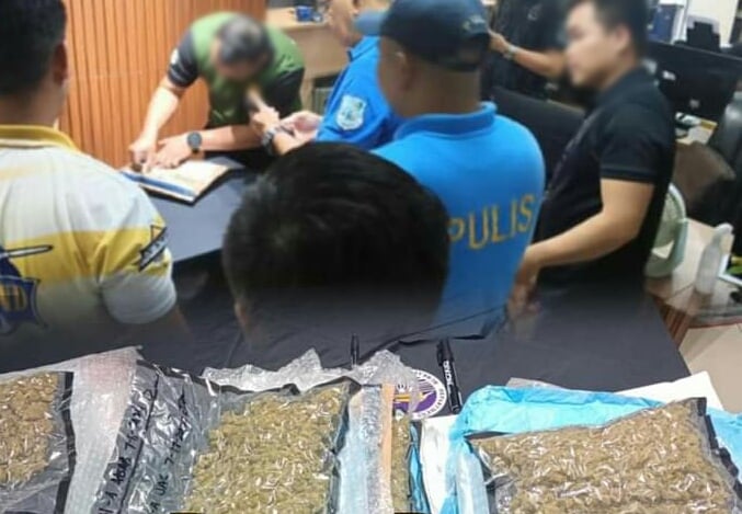 High-grade ‘weed’ intercepted